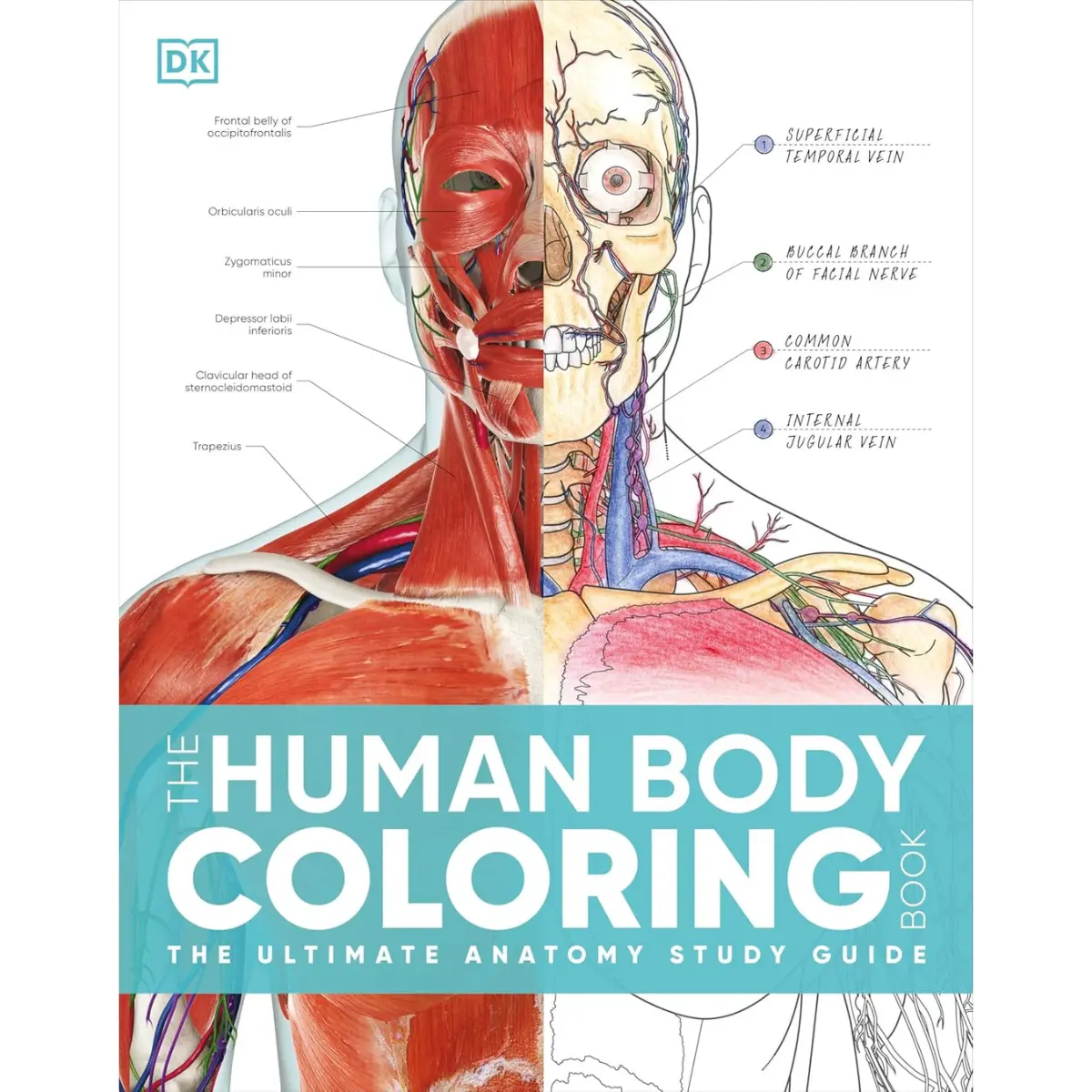 The Human Body Coloring Book: The Ultimate Anatomy Study Guide (2nd Edition) - Flexibound