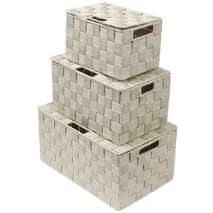 3-Piece Double Woven Basket Bin Set with Lid Organiser Decorative Stainless Steel Boxes