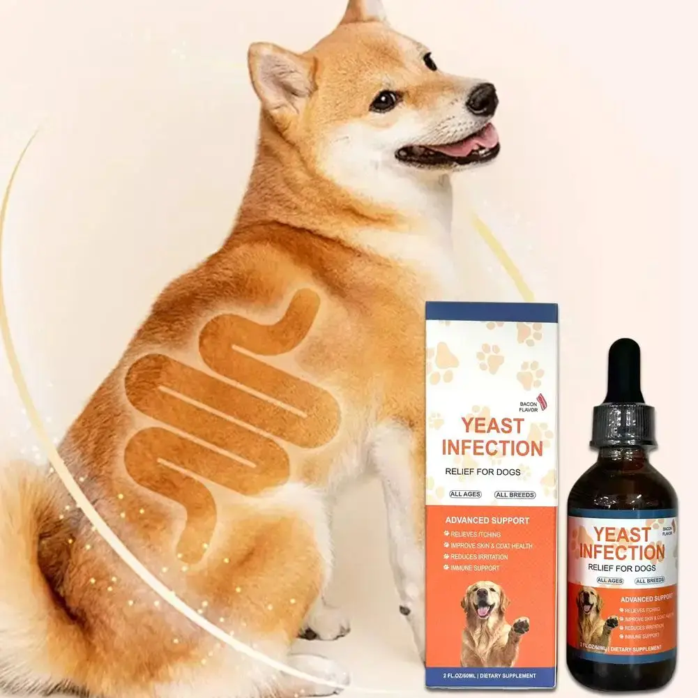 3pk Canine Liquid Probiotic Supplement - Nutritional Support, Gut Balance, Reduces Yeast Overgrowth, Easy to Administer Digestive Aid for All Dog Breeds, Great Value, Store in a Cool, Dry Place | Buy 2 Get 1 FREE!