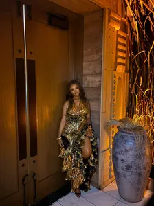 Golden Glamour Ruffle Occasion Dress For Parties, Birthdays, Dinner, Wedding Guest, Date Night, Prom fashion dress y2k