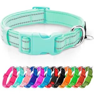 Azuza Reflective Dog Collar,Soft Neoprene Padded Pet Collar with ID Tag Ring,Adjustable for Small Dogs,Teal,S azuza