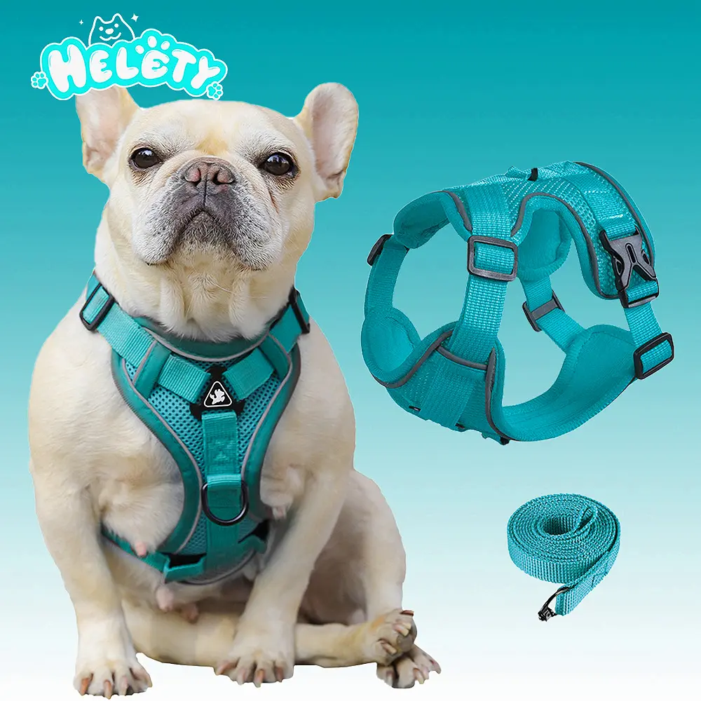 HELETY No-Escape Dog Vest & Leash Set - 3D Breathable Mesh, Reflective Strips, Quick-Release Buckle, Adjustable Strap, Retractable Design, Poop Bag Holder, Metal Parts - No Pull No Choke for Small-Medium Breeds (Frenchie) - Night Walk, Travel Safety led,,