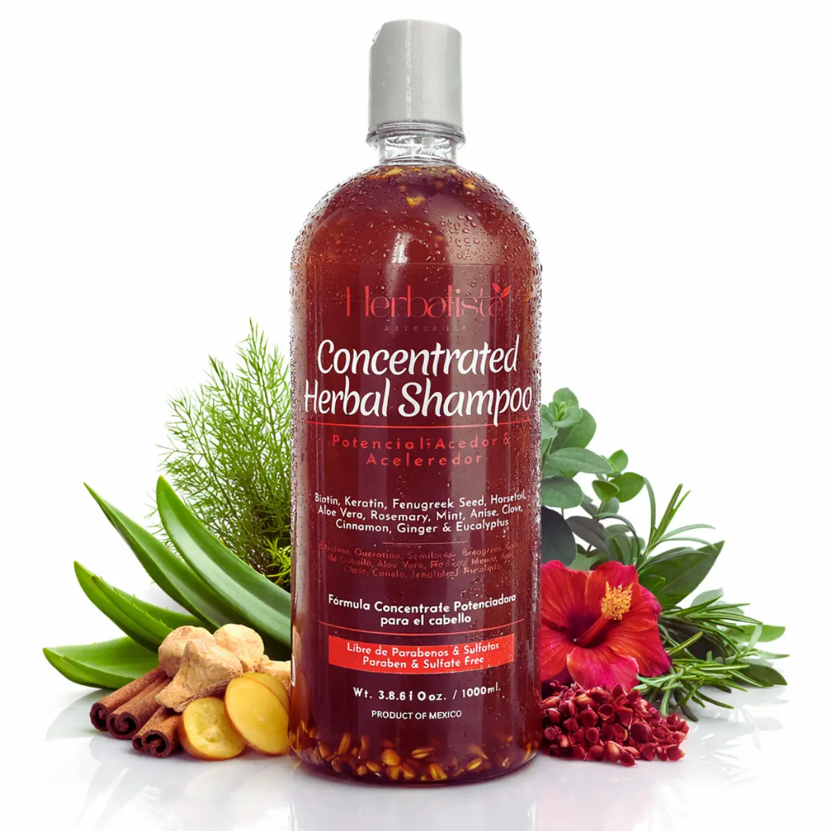 Herbalista Reforzado (Concentrated) Herbal Shampoo 1000ml (33.8 fl oz) – Highly Concentrated Formula = Up to 2x More Uses – With Rosemary, Horsetail, Ginger, Cinnamon, Hibiscus, Fenugreek & Eucalyptus – 100% Natural, Small Batch, Botanical Hair Care