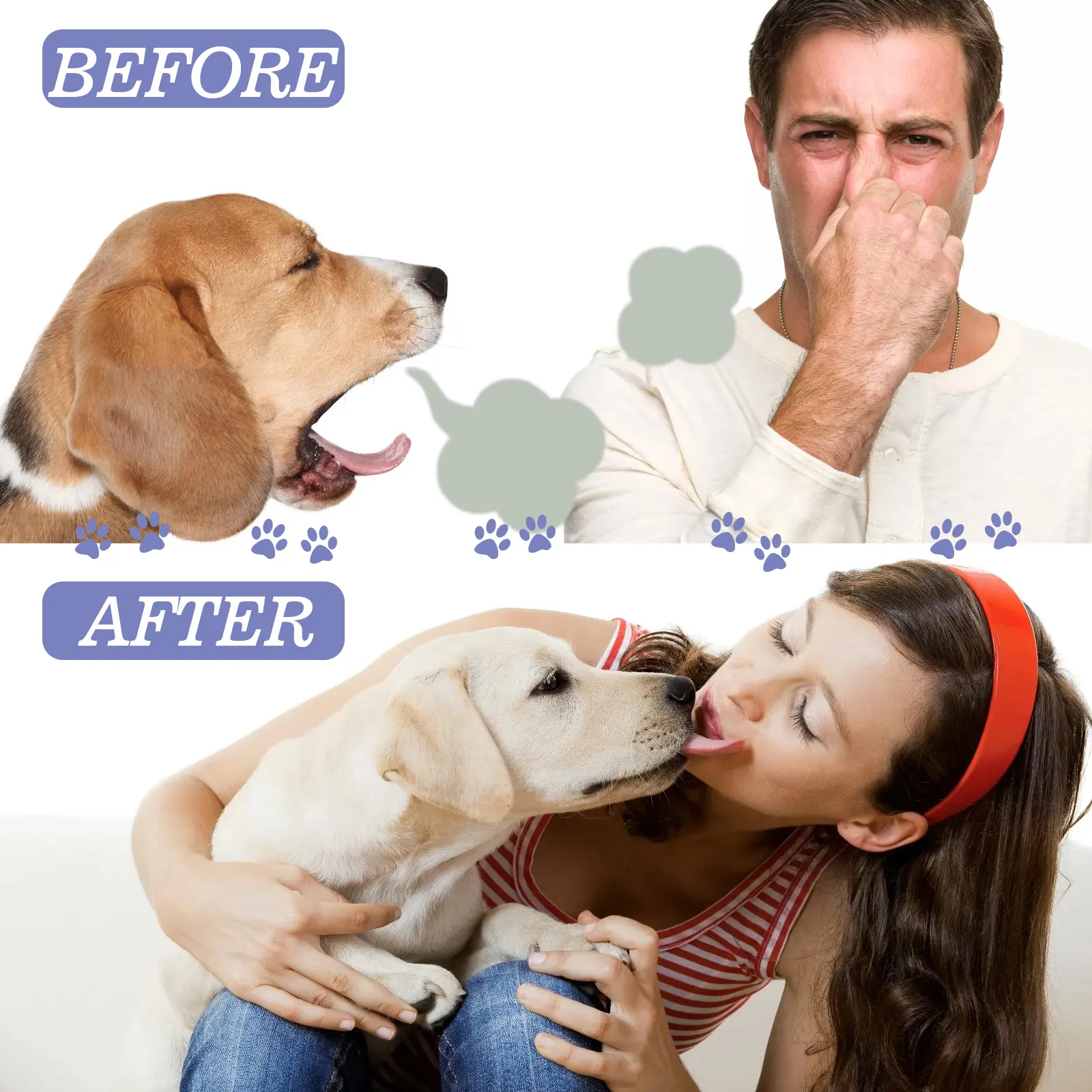 Pet Dogs & Cats Dental Care Spray, Vet-Recommended Breath Freshener & Teeth Cleaning Spray, Eliminate Bad Breath, Relieve Gum Redness & Infections, Reduce Plaque & Tartar, No Brushing