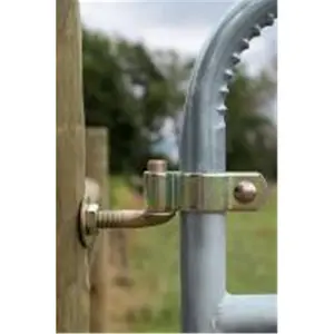 212 MAIN Locking Gate Hinge, 2 in. Size with 0.75 x 12 in. Bolt, Compatible with Sailing & Outdoor Sports Gates, Locking Hinges