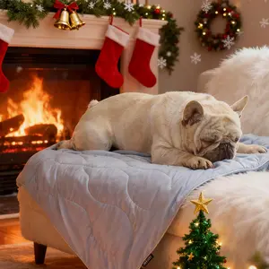 Bedsure Soft Pet Blanket - Perfect for Fireplace Nights, Breathable Blanket for Indoor Winter Comfort, TikTokShopBlackFriday, Ultra Durable & Breathable All-Season Throw, Reversible Mat for Dog & Cat Beds, Crates, and Couches, Machine Washable Bedding