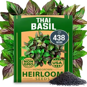 HOME GROWN Thai Basil Seeds Pack - 438 High Germination Non-GMO Heirloom Herb Seeds for Planting, Ideal for Growing Fresh Basil Planting Indoor or Outdoor (Ocimum basilicum VAR. thyrsiflora)