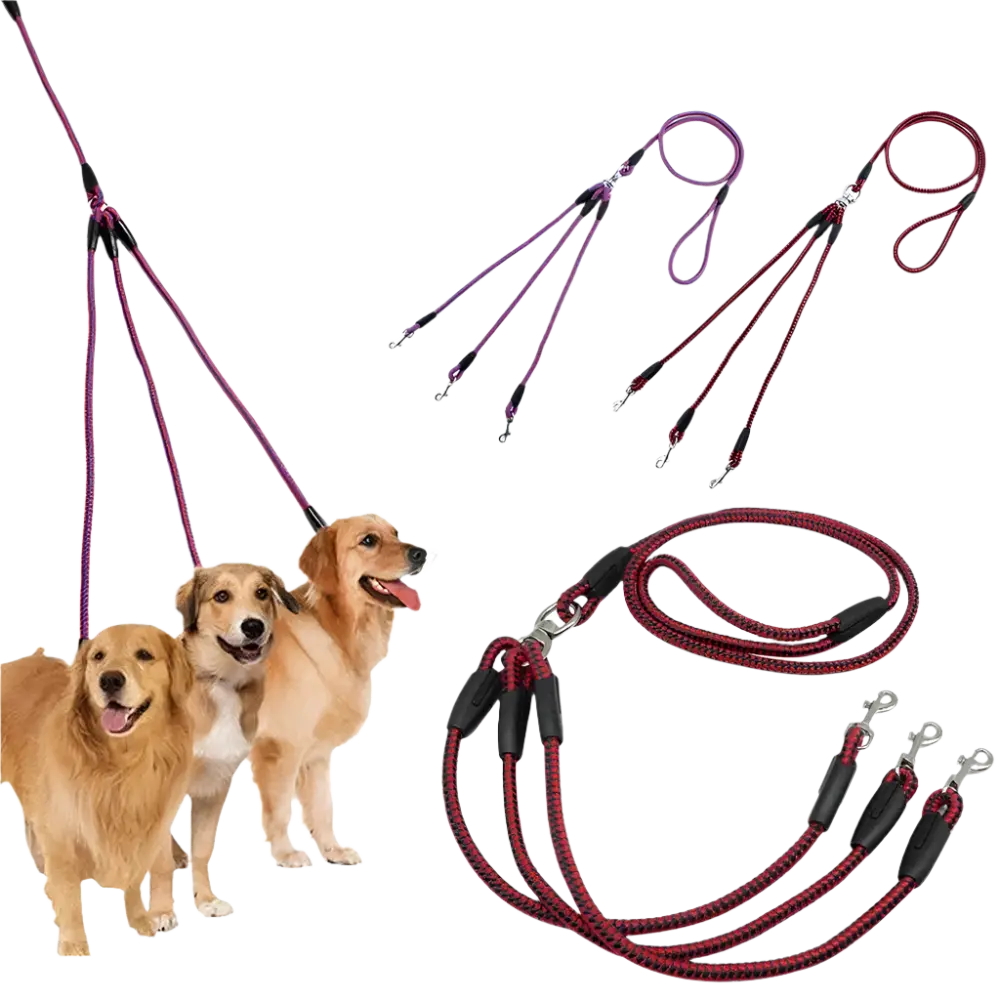 Triple Pet Collar Traction Leash with 3-Way Coupler