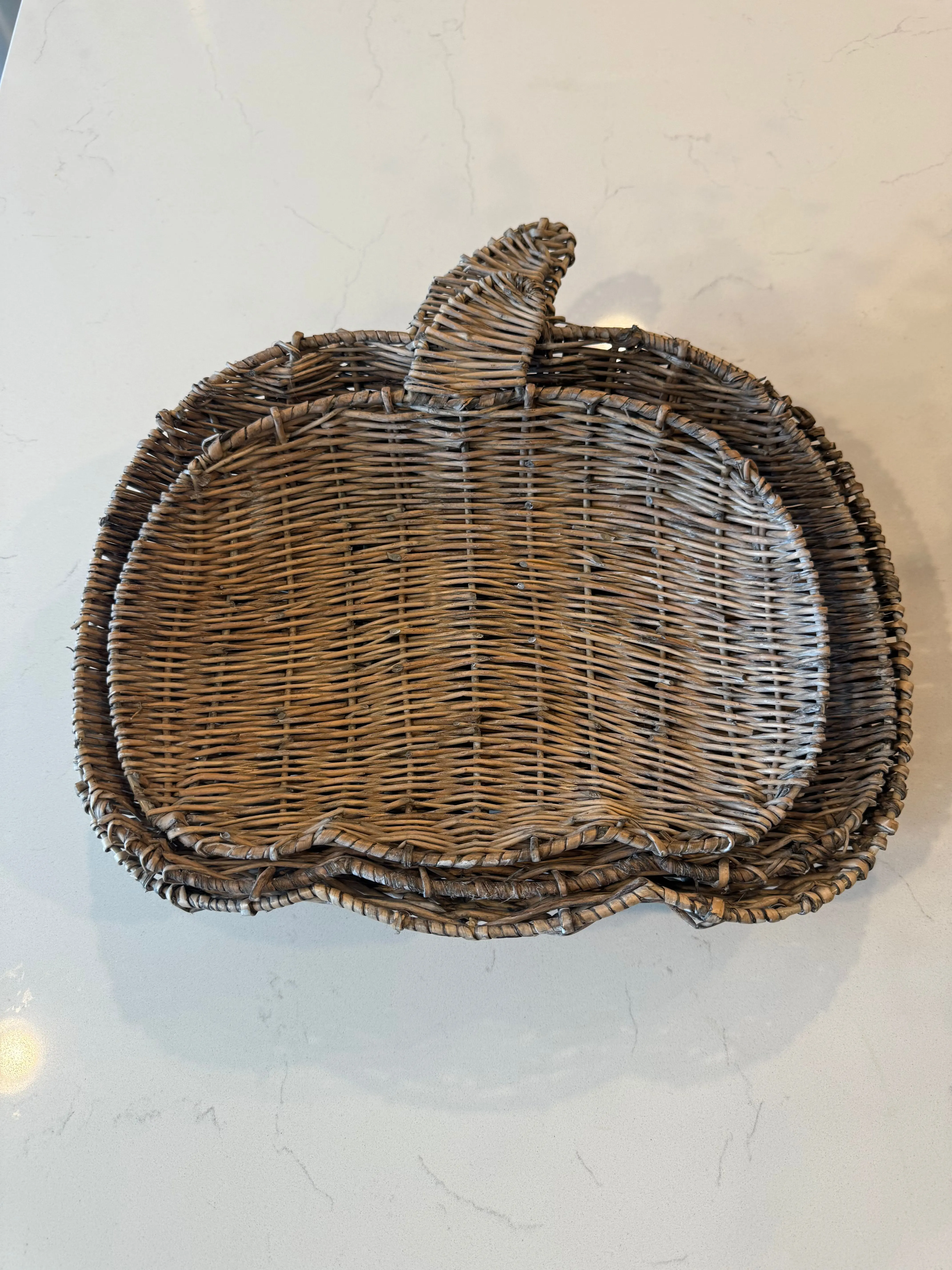 Willow Pumpkin Baskets