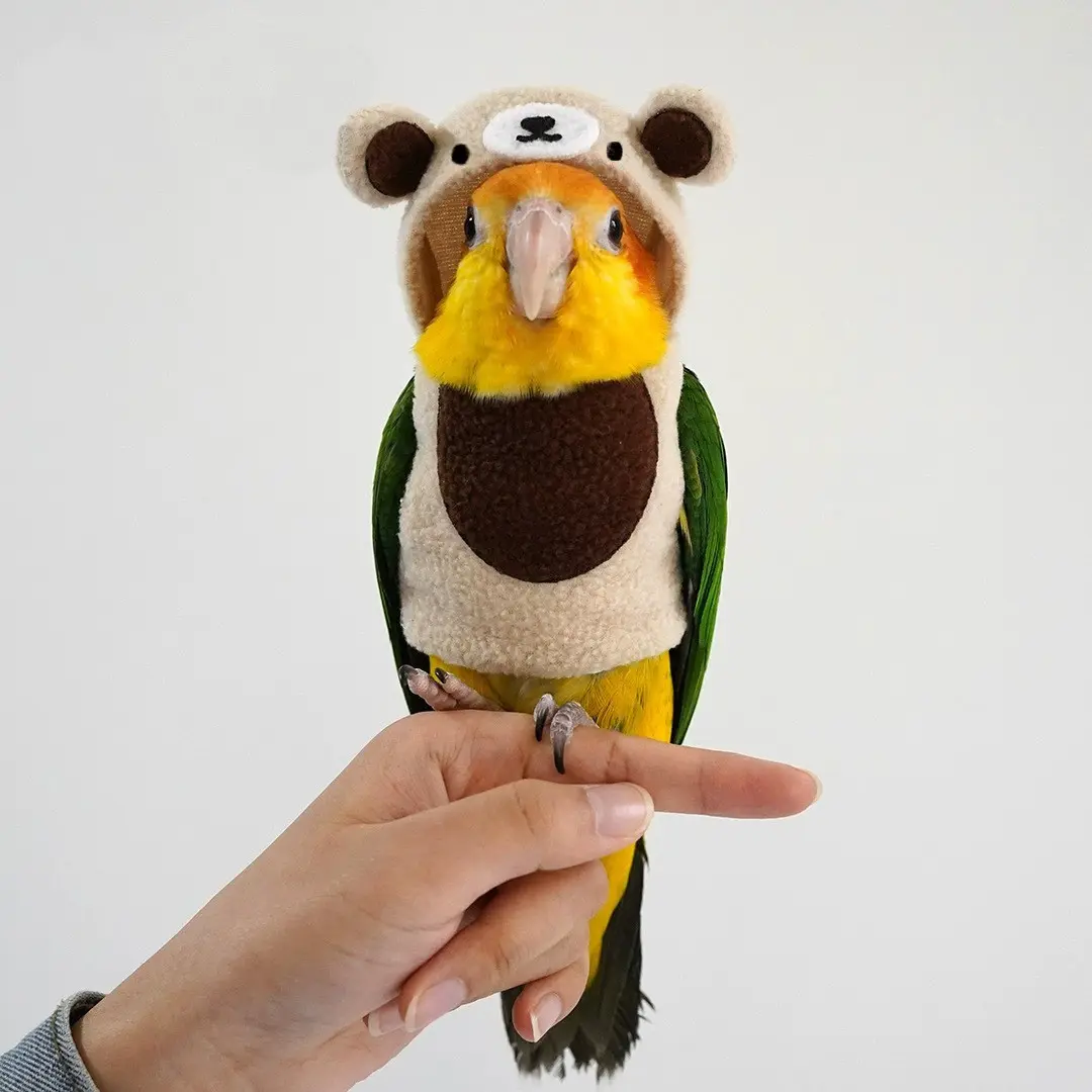 1-Piece Cute Bear Bird Costume for Small Pet Birds, Warm Soft Cloak Cosplay Outfit for Parrots, Cockatiels, Conures & Parakeets, One-Piece