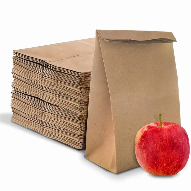 Stock Your Home 4 Lb Kraft Brown Paper Lunch Bags (250 Count) - Bulk Disposable Lunch Sacks, Small Size Blank Bag for Kids, Good for a Snack, Sandwich, Grocery Food, and Arts & Crafts Projects