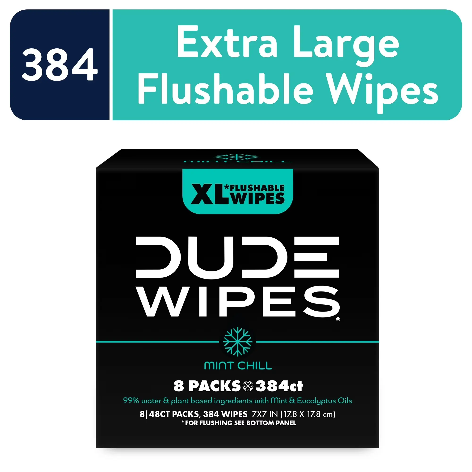 DUDE Wipes Mint Chill, Extra Large Flushable Wipes, 48 Count, 8 Pack (384 Total)(Select for More Options) Toilet