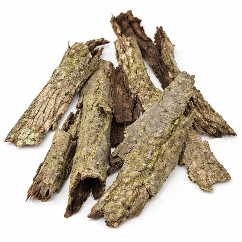 Natural Hardwood Bark for Bioactive Terrariums – Reptile & Isopod Hide Wood – Heat Treated Natural Habitat Decor (3-5 Piece Pack)