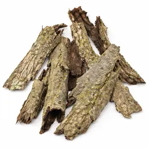 Natural Hardwood Bark for Bioactive Terrariums – Reptile & Isopod Hide Wood – Heat Treated Natural Habitat Decor (3-5 Piece Pack)