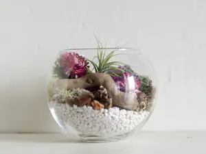 Team Building Kit, Team Building Gifts, Air Plant DIY Terrarium Kit, Natural Decor, Terrarium Decor, Friend Gift, Thank You Gift, Desk Décor