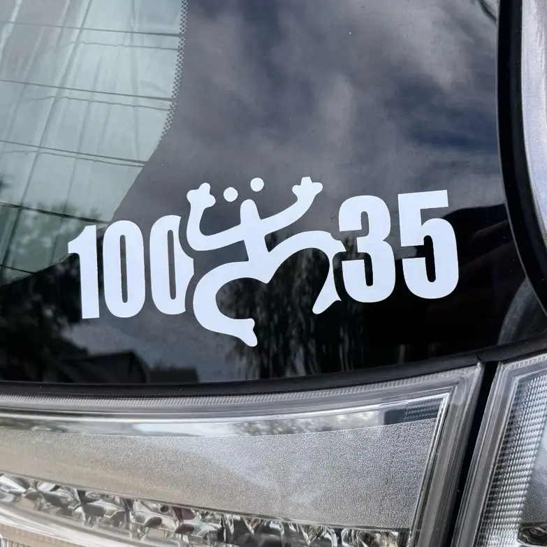 100x35 Taino Boricua Puerto Rico Car Window Laptop Toolbox Sticker Decal - High Quality White Oracal Vinyl - 7" Wide