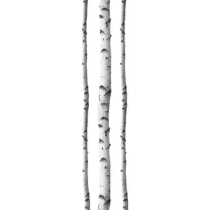 212 MAIN Peel-and-Stick Removable Decorative Wood Birch Trees Wall Decals & Stickers Kit with Natural Trunk, Home Decor Wall Art Supplies (DWPK2756)