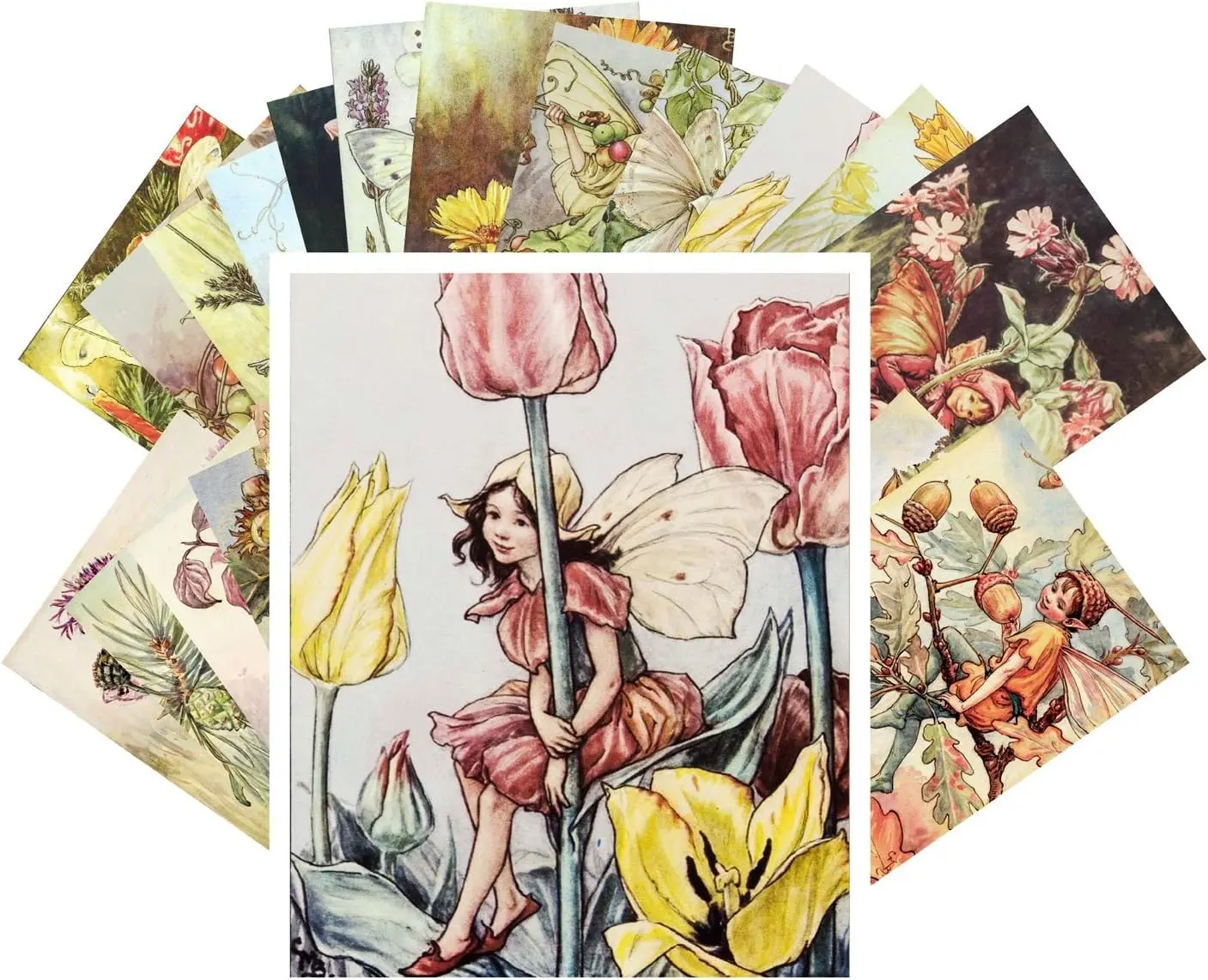 Vintage PostCards 24 pcs Flower Fairy Vintage Book Illustrations