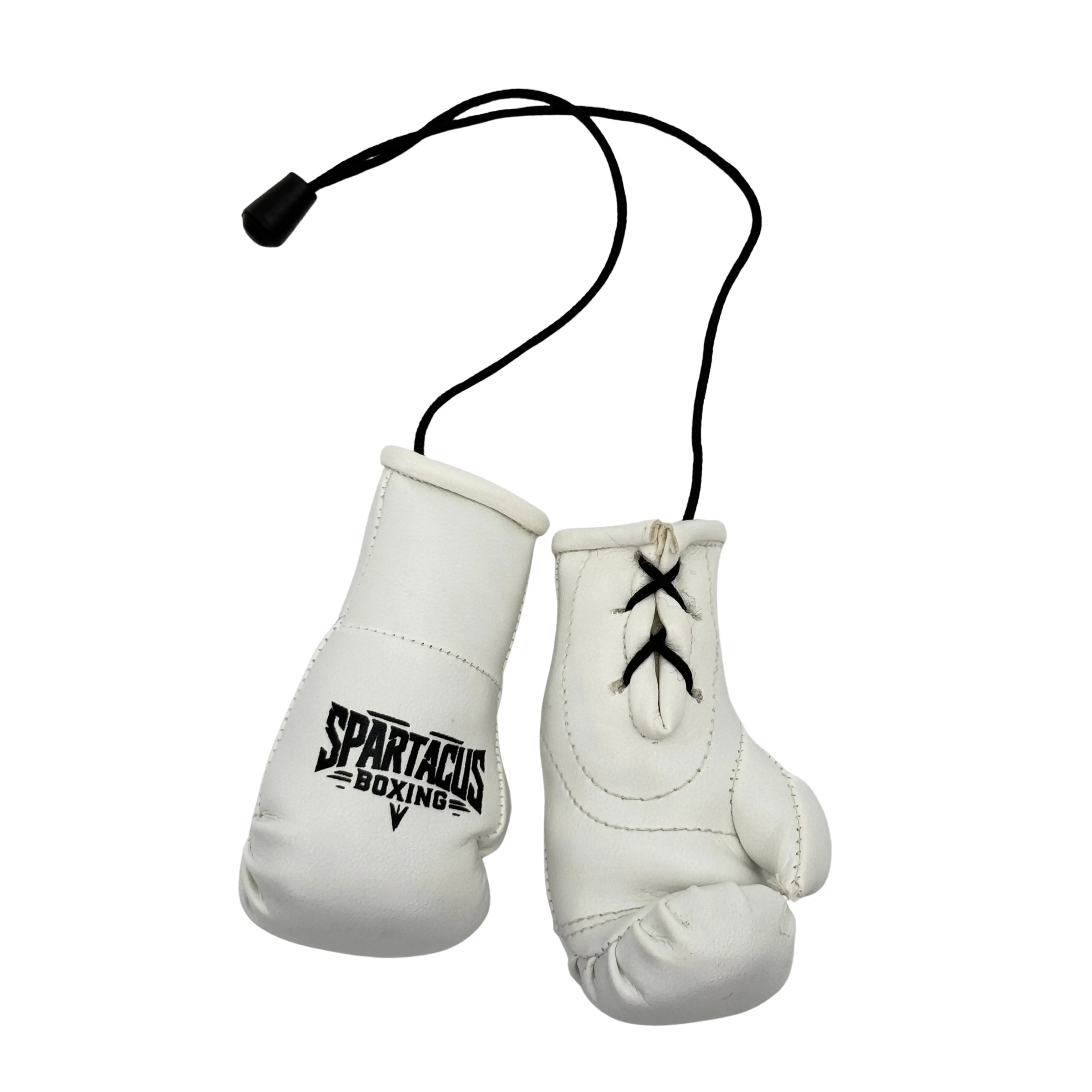 Hanging Mini Boxing Gloves