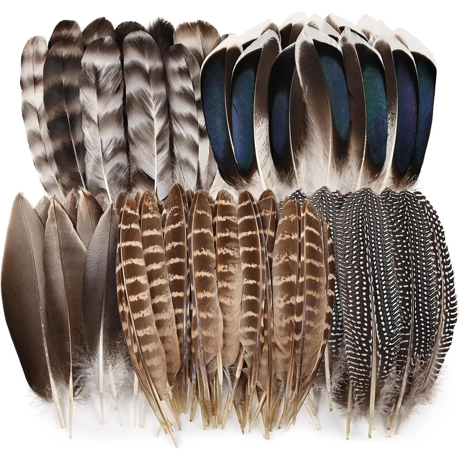 40 count  Pheasant Feathers Bulk Spotted Feathers 5 Styles Mixed Feathers for Crafts DIY Hat Floral Arrangements Wedding Home Decorations