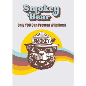 Smokey Bear Tonie