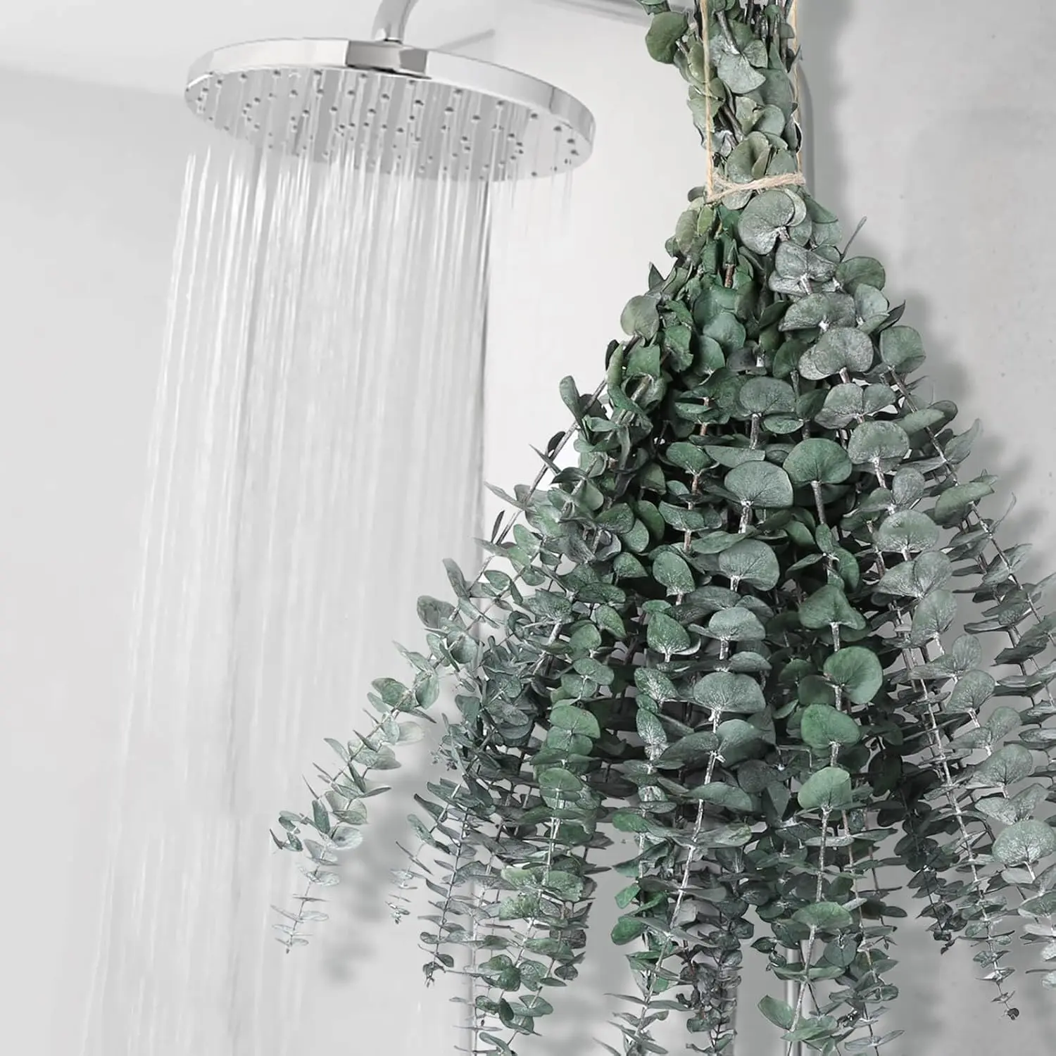 12 PCS Dried Eucalyptus Bundle for Shower - 17" Large Preserved Eucalyptus Stems Shower Plant, Fresh Real Eucalyptus Leaves for Shower Hanging