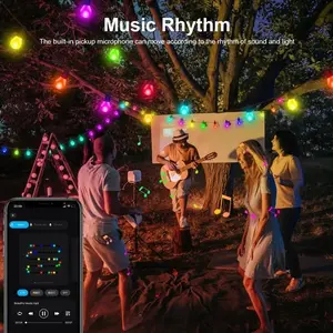 Streamer Fantasy Bulb String Lights APP can be controlled as you like, USB plug and light up (party atmosphere artifact)