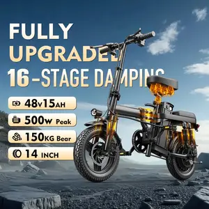 Adult Electric Bicycles Foldable 20mph Commuter Ebike with Detachable Battery Lightweight Folding Ebike 500W 48V 15AH 16 Stage Damping