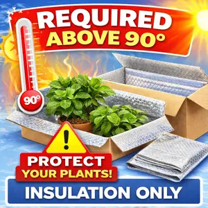 ADD ON: Summer Box Insulation (90°+) Liner to Prevent Heat Damage | Add-On Per 3–4 Plants