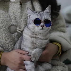 Fashion Eye Glasses for Cats, Kittens, Retro Circular Cool Sunglasses, Pet Costume Supplies, Round Frame Glasses Photo Props for Small Medium Pets Kids Boys Girls