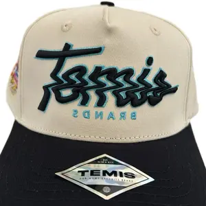 Limited Edition - Temis Brands “Scribble” Hat – Chrome/Black