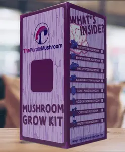 Indoor Ready to Fruit Mystery Mushroom Grow Kit by The Purple Mushroom - Easy All Seasons Mushroom Cultivation at Home School and Office Grow-Eat-Repeat.