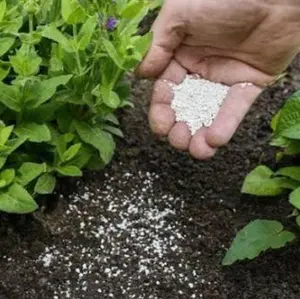 Gardening Haven House Hydrated Lime for Garden Soil Amendment & pH Balance