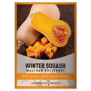 Waltham Butternut Winter Squash Seeds