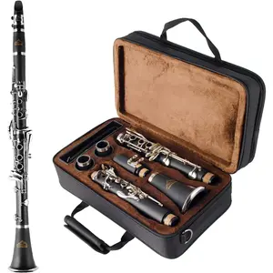 Clarinet 17  ABS Material Wide Range of  Particularly Beginner & Students-friendly with Using Tools and 2 Replaceable
