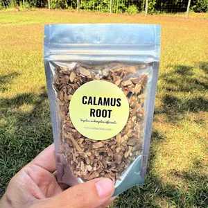 Natural Dried Calamus Root Herbal Herb - Wildcrafted, Ethically Harvested, Hand-Packed, 0.5oz-4oz Multi-Size Foil Pouches, Earthy Aroma for Home Fragrance Use