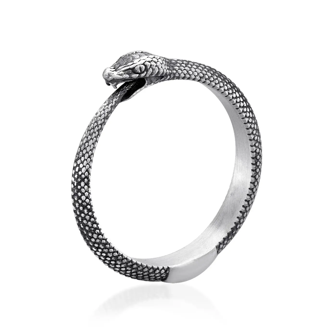 Thin Ouroboros Ring