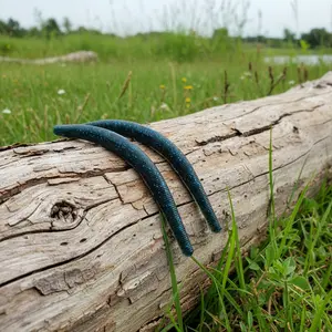 5″ Stick Worm Bass Bait Black Blue Flake– 8 pkg Hand-Poured Soft Plastic | Grass line Baits
