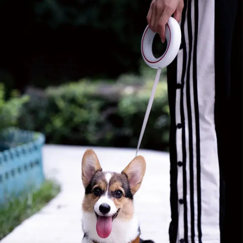 Moestar UFO 2 Lite Retractable Dog Leash – Metal Buckle & One-Handed Brake for Small & Medium Dogs