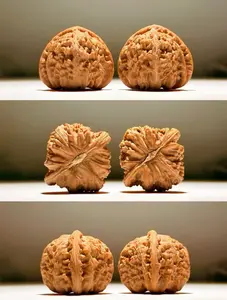 Natural Raw Walnut Collectible Pair - Perfect Match
