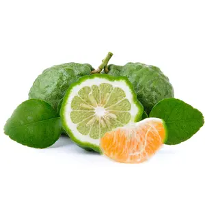 Bergamot & Mandarin - Premium Fragrance Oil