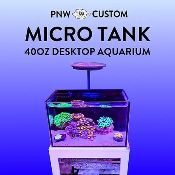 Micro Reef-Ready Tank | 40oz Desktop Aquarium Saltwater Kit with Working Sump