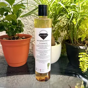 Shampoo Potion with 8 Extracts