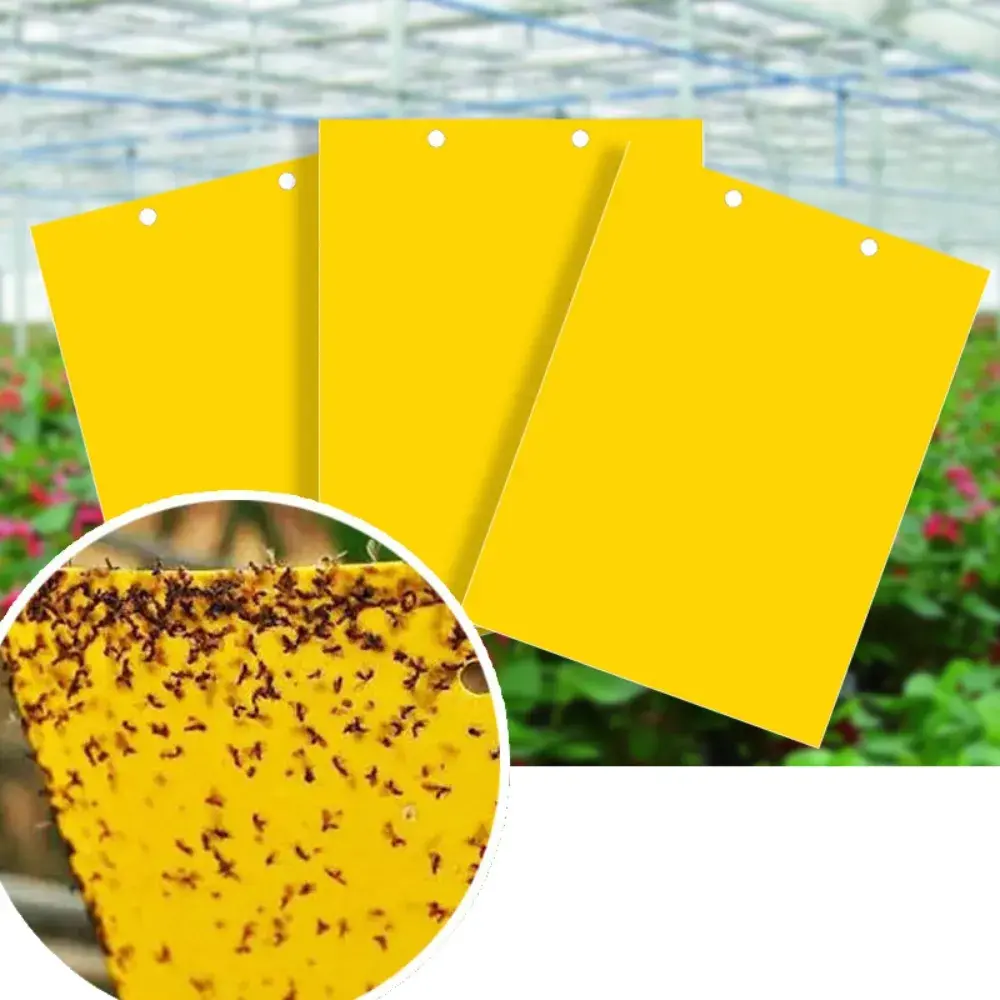 Dual-Sided Yellow Sticky Traps, Indoor-Outdoor Plant Flying Insect Catcher for Garden & Greenhouse