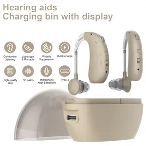 Rechargeable Hearing Aids for Seniors/OTC Hearing Aids for People with Hearing Loss, Advanced Noise Cancellation, Comfortable Wearing