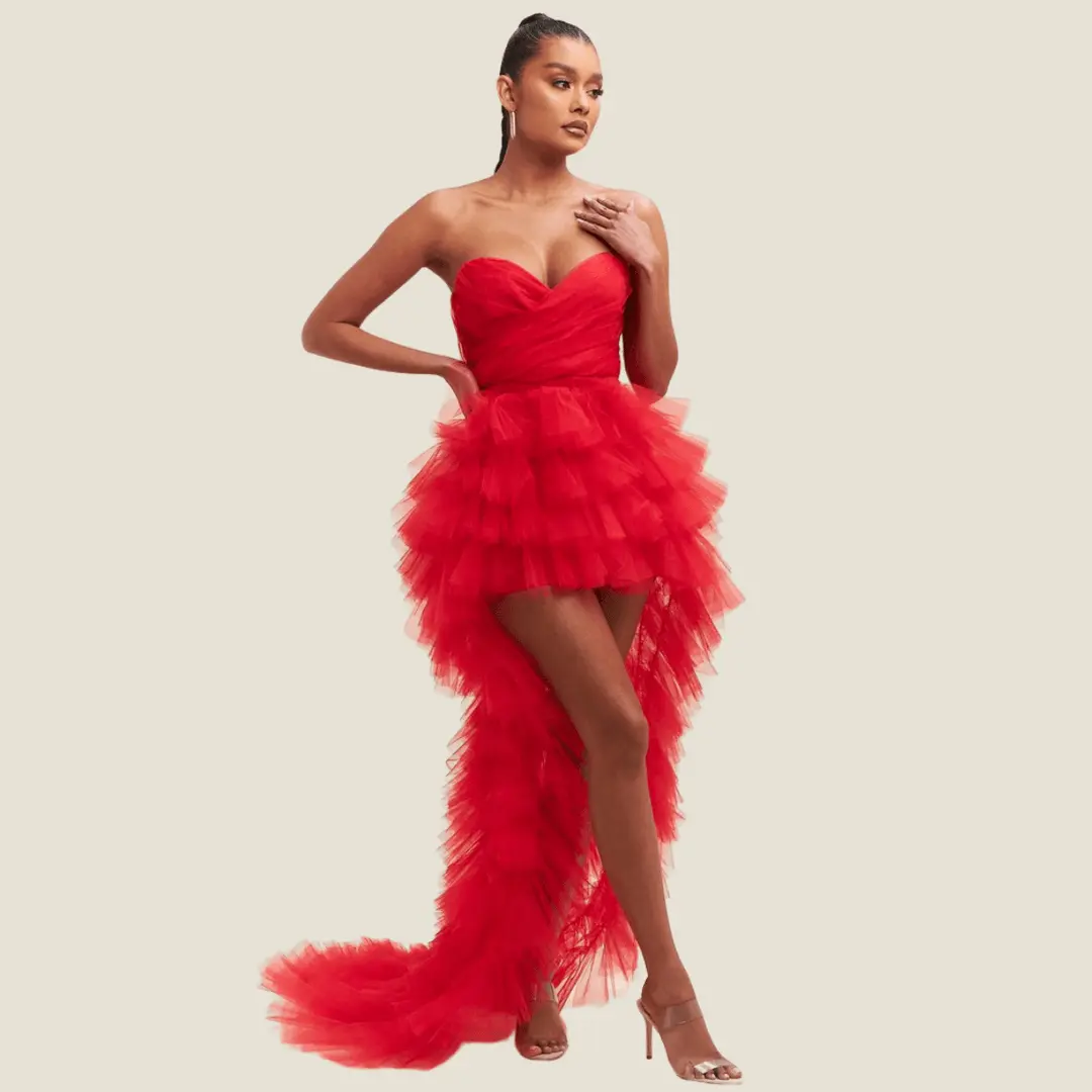 Elegant Blush Tulle Layers Mesh Dress Evening Fabric Fashion Formal Women Womenswear Birthday Elegance Fashionista Maxi Party