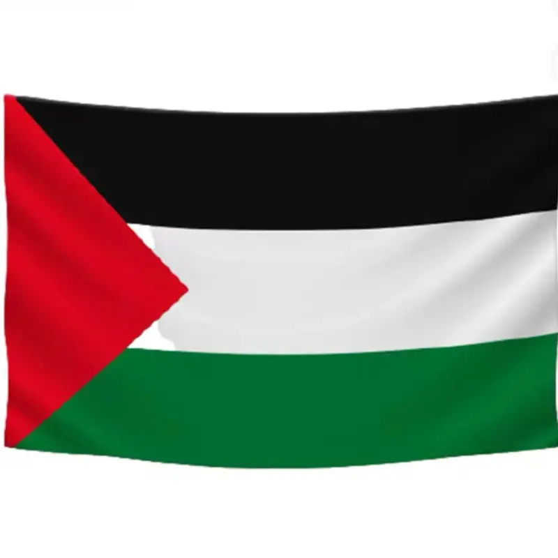Big Palestine flag