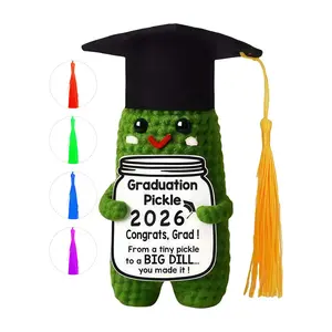 Cute Collectible Crochet Doll 2026 Graduation Gifts, Congrats Class High School College, Handmade Grad Present for Him Her