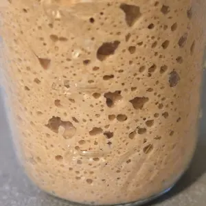 Dehydrated Sourdough Starter  whole wheat – Active Live Culture