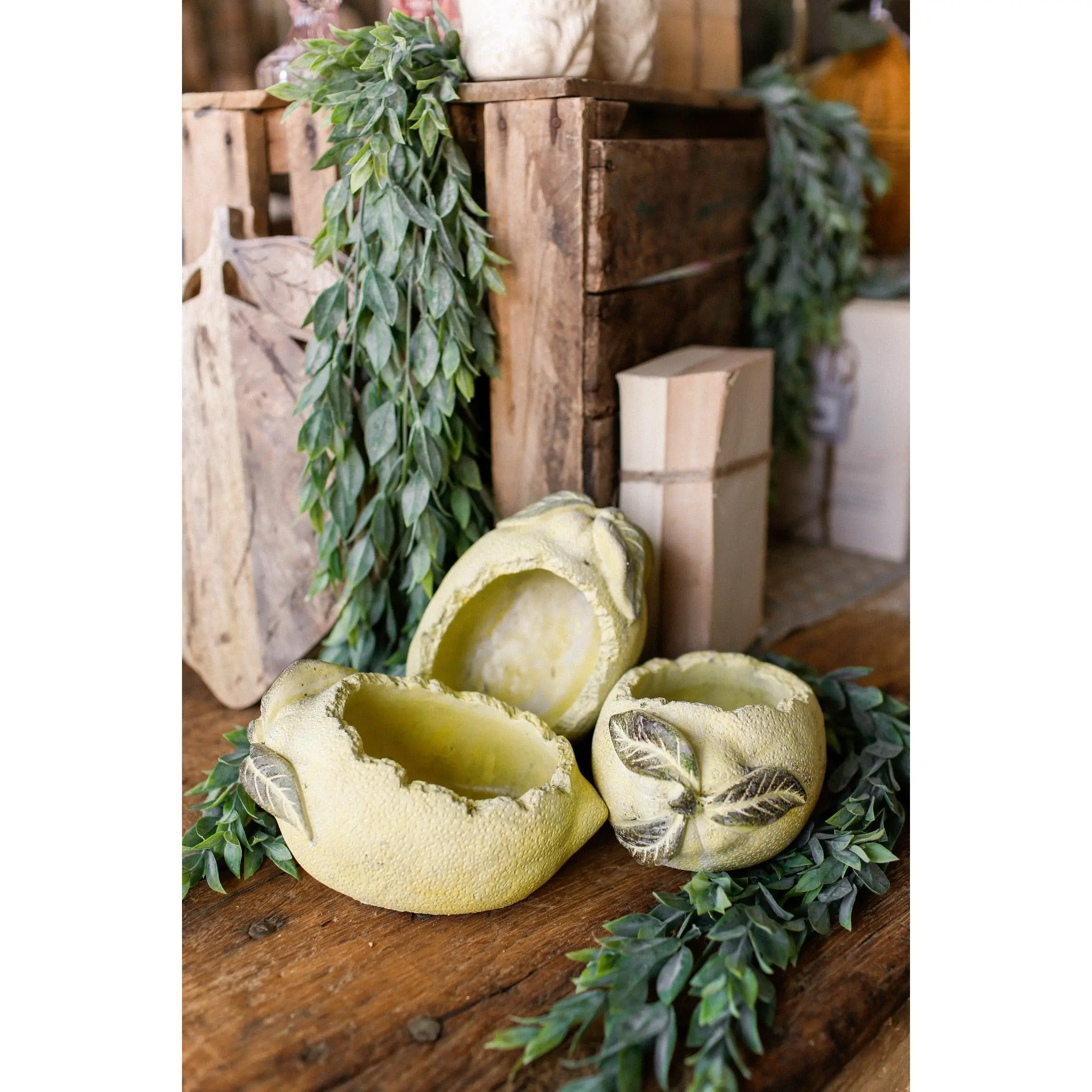 Lemon Concrete Planter Lemon Concrete Planter